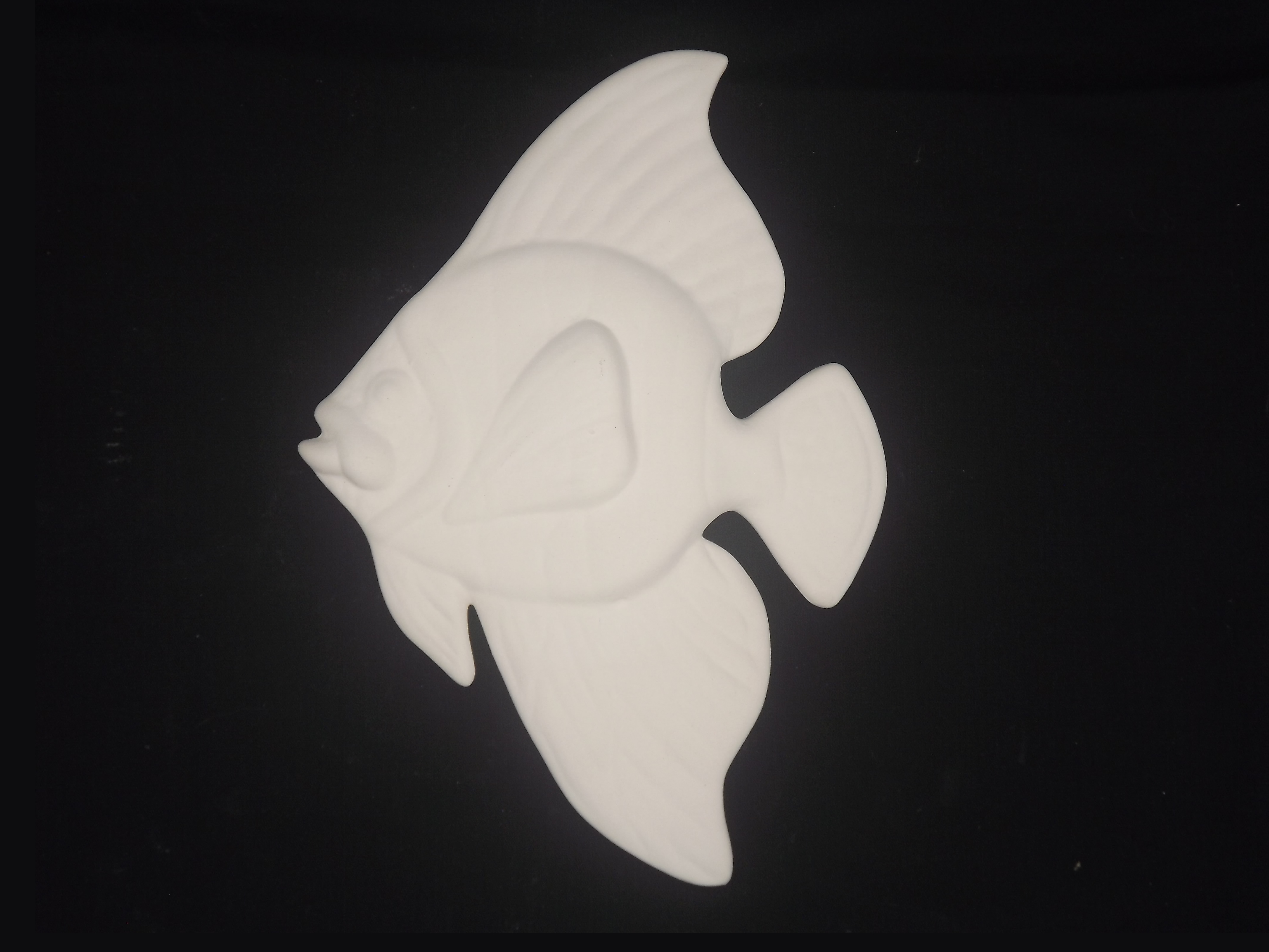 Peixe Piranha